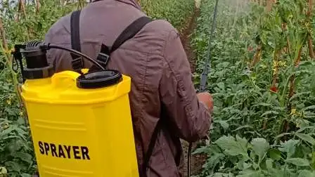 Desinfecção Agroquímica Esterilização Mochila Agrícola Fazenda Jardim Bateria Elétrica Mochila Pulverizador Manual Manual (HT-20H)